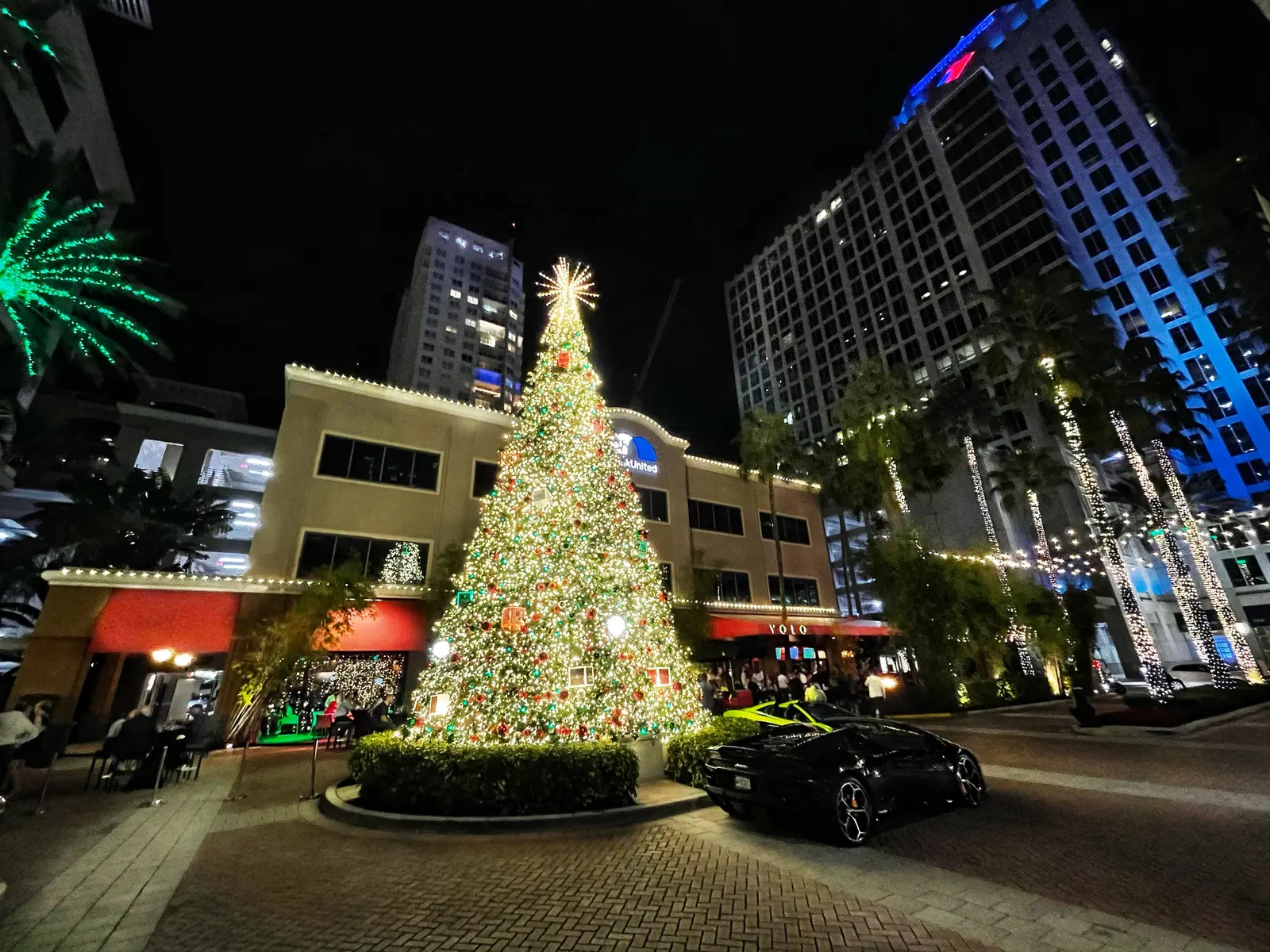 Evening outside YOLO on Las Olas Boulevard in downtown Fort Lauderdale, decorated for the holidays.