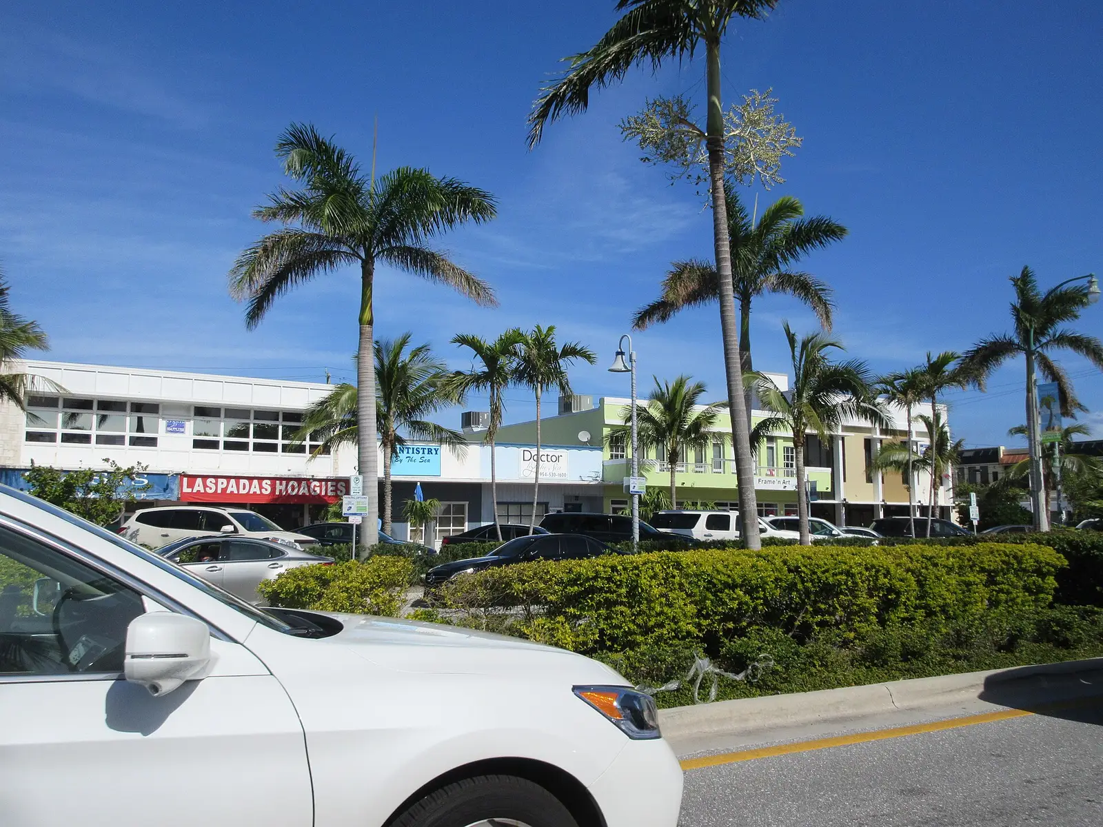 Beachfront buildings along A1A in Fort Lauderdale.